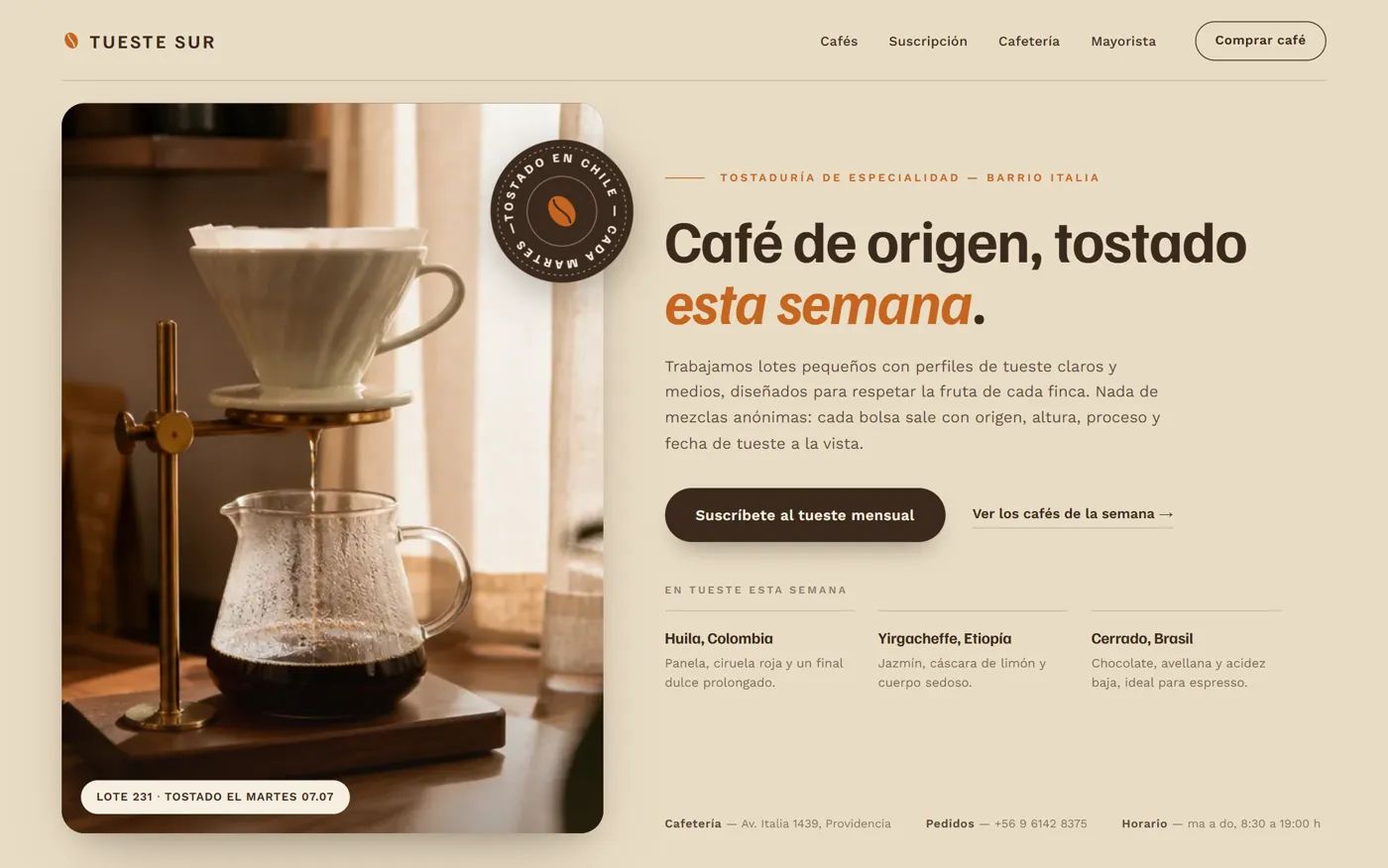 Sitio web de Tueste Sur
